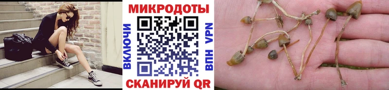 Галлюциногенные грибы Cubensis  Калининград 