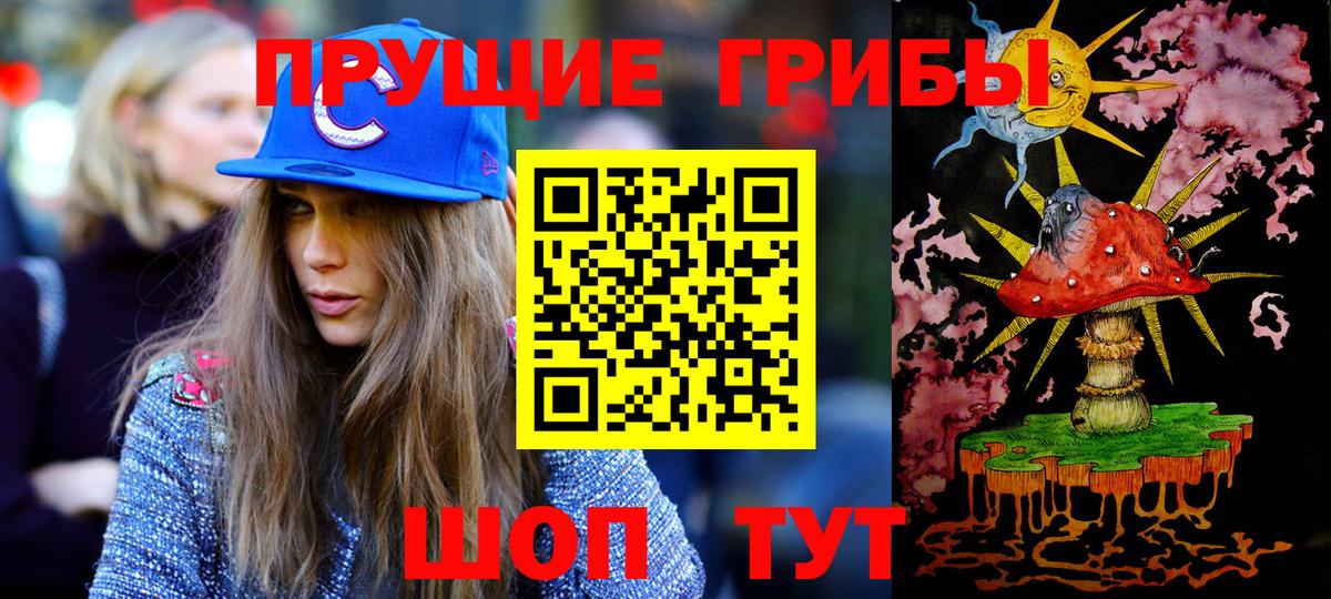 Псилоцибиновые грибы Psilocybine cubensis Калининград