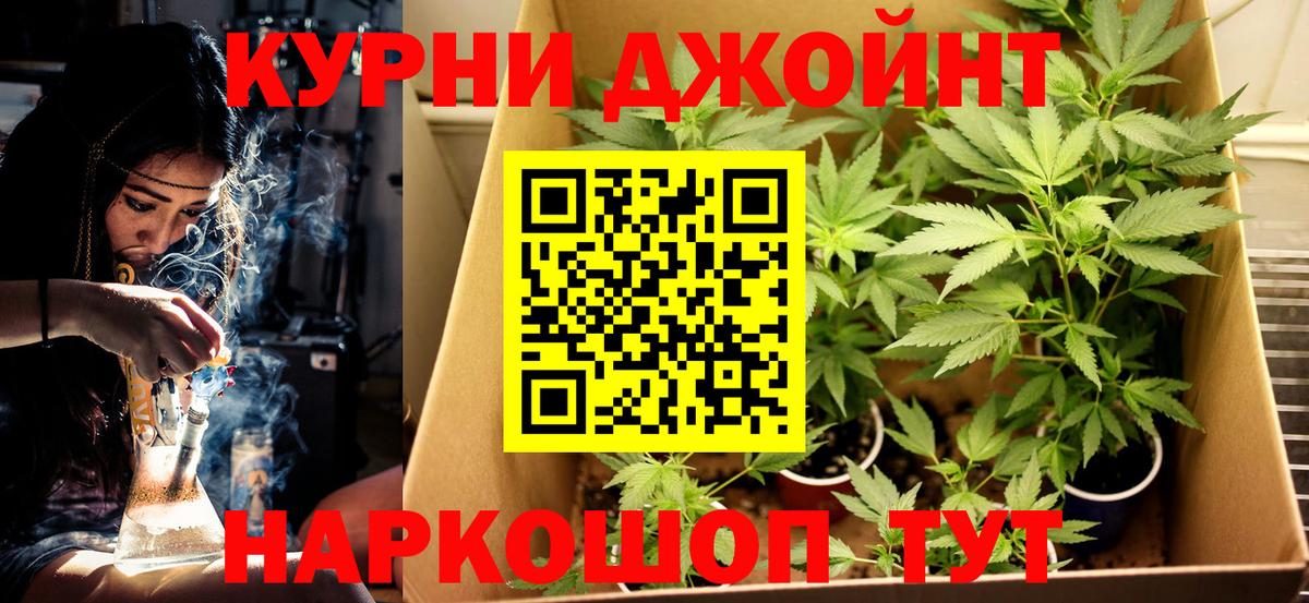 Калининград  Марихуана план  Вход с VPN  Шишки марихуана сатива 